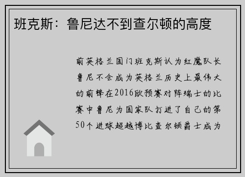班克斯：鲁尼达不到查尔顿的高度